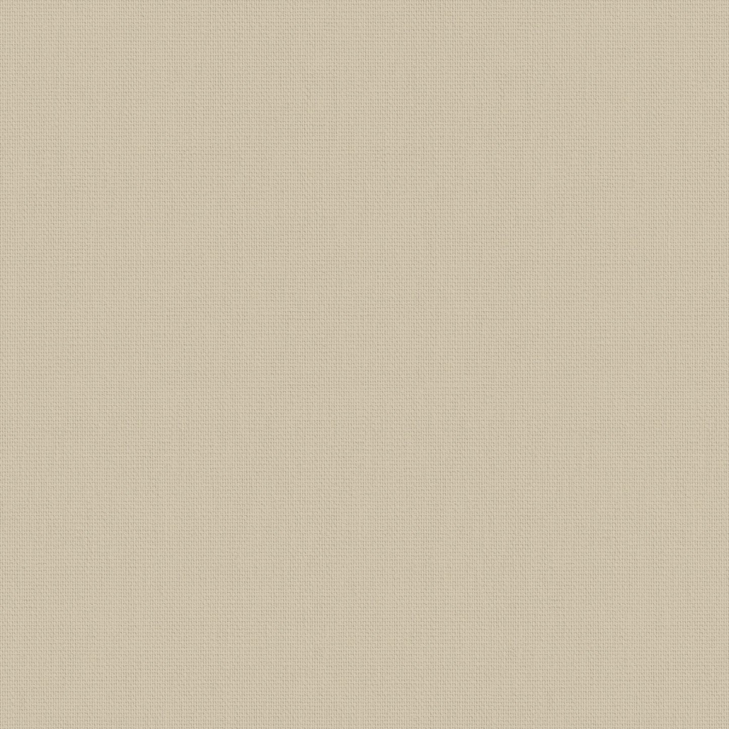BellaBeige