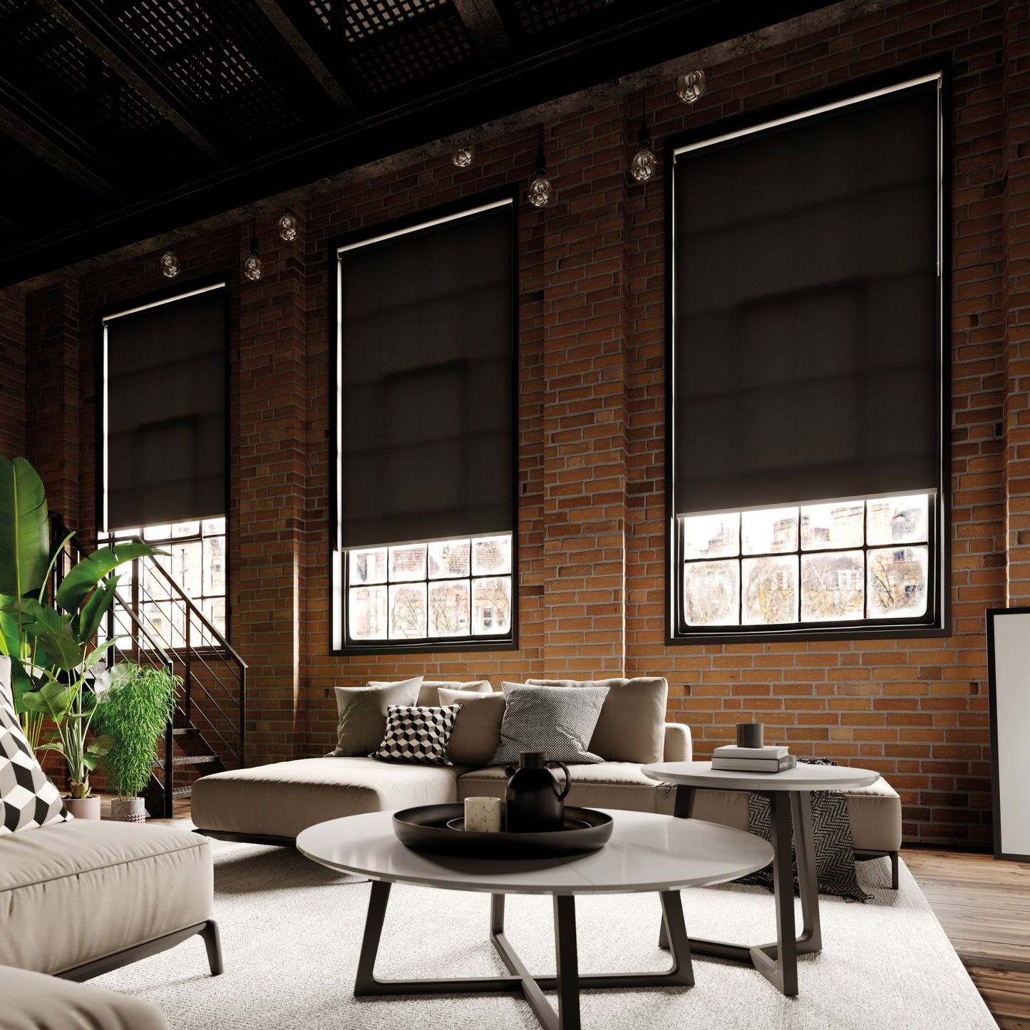 Splash Roller Blinds
